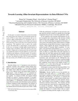 Towards Learning Affine-Invariant Representations via Data-Efficient
  CNNs