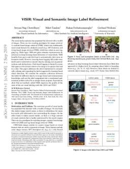 VISIR: Visual and Semantic Image Label Refinement