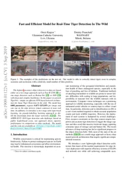 Fast and Efficient Model for Real-Time Tiger Detection In The Wild