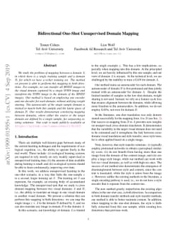 Bidirectional One-Shot Unsupervised Domain Mapping
