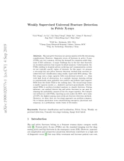 Weakly Supervised Universal Fracture Detection in Pelvic X-rays