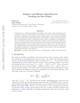 Adaptive and Efficient Algorithms for Tracking the Best Expert