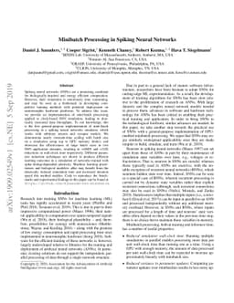 Minibatch Processing in Spiking Neural Networks
