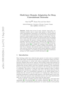 Multi-layer Domain Adaptation for Deep Convolutional Networks
