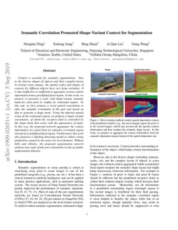 Semantic Correlation Promoted Shape-Variant Context for Segmentation