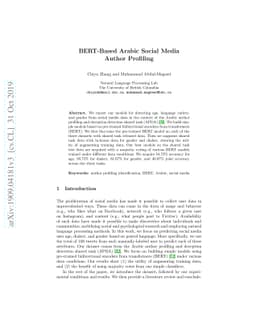 BERT-Based Arabic Social Media Author Profiling