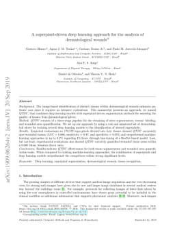 A superpixel-driven deep learning approach for the analysis of
  dermatological wounds