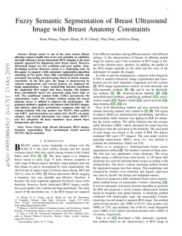 Fuzzy Semantic Segmentation of Breast Ultrasound Image with Breast
  Anatomy Constraints
