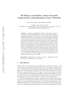3D Kidneys and Kidney Tumor Semantic Segmentation using Boundary-Aware
  Networks