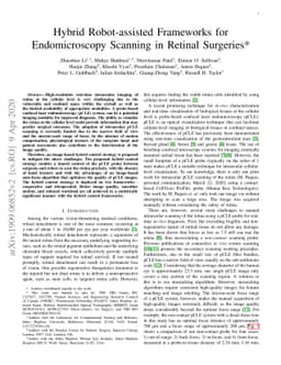 Hybrid Robot-assisted Frameworks for Endomicroscopy Scanning in Retinal
  Surgeries