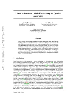 Learn to Estimate Labels Uncertainty for Quality Assurance