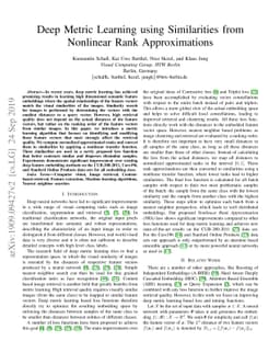 Deep Metric Learning using Similarities from Nonlinear Rank
  Approximations