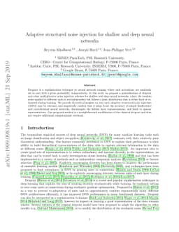 ASNI: Adaptive Structured Noise Injection for shallow and deep neural
  networks