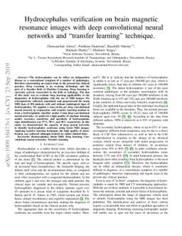 Hydrocephalus verification on brain magnetic resonance images with deep
  convolutional neural networks and "transfer learning" technique
