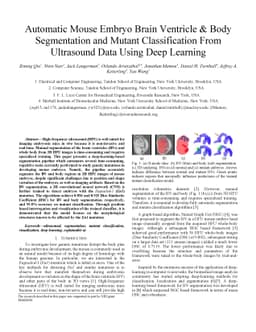 Automatic Mouse Embryo Brain Ventricle & Body Segmentation and Mutant
  Classification From Ultrasound Data Using Deep Learning