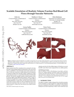 Scalable Simulation of Realistic Volume Fraction Red Blood Cell Flows
  through Vascular Networks