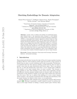 Matching Embeddings for Domain Adaptation