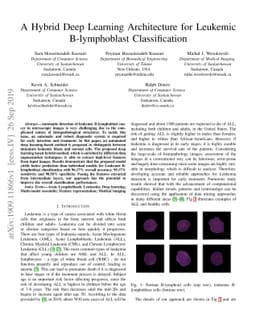 A Hybrid Deep Learning Architecture for Leukemic B-lymphoblast
  Classification