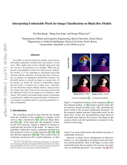 Interpreting Undesirable Pixels for Image Classification on Black-Box
  Models