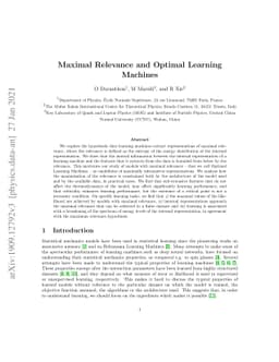 Maximal Relevance and Optimal Learning Machines