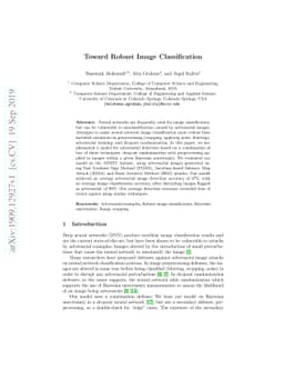 Toward Robust Image Classification