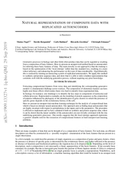 Natural representation of composite data with replicated autoencoders