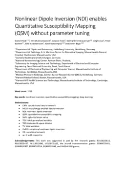 Nonlinear Dipole Inversion (NDI) enables Quantitative Susceptibility
  Mapping (QSM) without parameter tuning