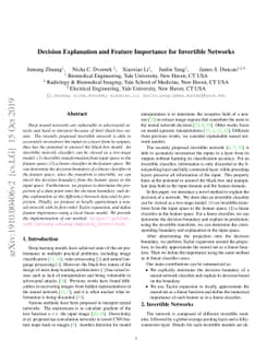 Decision Explanation and Feature Importance for Invertible Networks