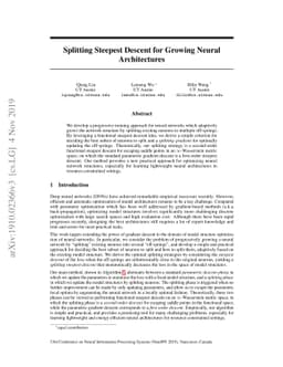 Splitting Steepest Descent for Growing Neural Architectures