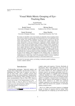 Visual Multi-Metric Grouping of Eye-Tracking Data