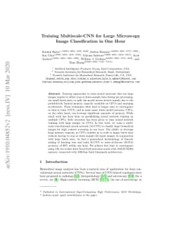 Training Multiscale-CNN for Large Microscopy Image Classification in One
  Hour
