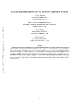 NLS: an accurate and yet easy-to-interpret regression method