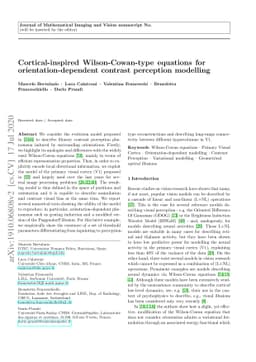 Cortical-inspired Wilson-Cowan-type equations for orientation-dependent
  contrast perception modelling