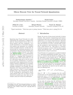 Mirror Descent View for Neural Network Quantization