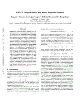 KRNET: Image Denoising with Kernel Regulation Network