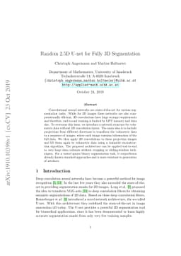 Random 2.5D U-net for Fully 3D Segmentation