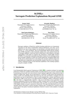 bLIMEy: Surrogate Prediction Explanations Beyond LIME