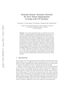 Semantic Feature Attention Network for Liver Tumor Segmentation in
  Large-scale CT database