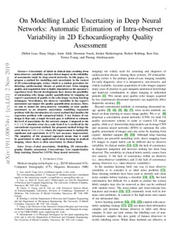 On Modelling Label Uncertainty in Deep Neural Networks: Automatic
  Estimation of Intra-observer Variability in 2D Echocardiography Quality
  Assessment