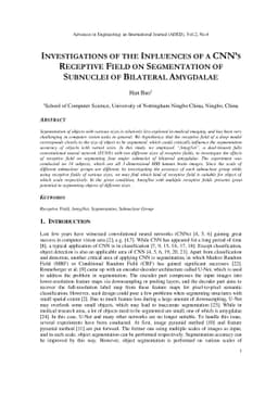 Investigations of the Influences of a CNN's Receptive Field on
  Segmentation of Subnuclei of Bilateral Amygdalae