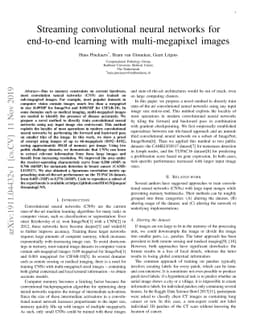 Streaming convolutional neural networks for end-to-end learning with
  multi-megapixel images
