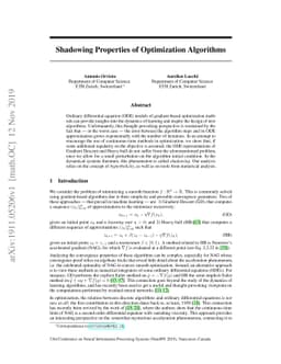 Shadowing Properties of Optimization Algorithms