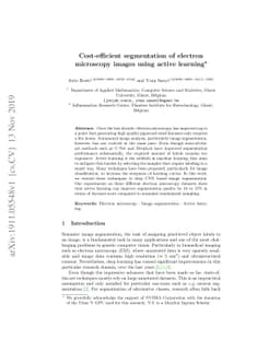 Cost-efficient segmentation of electron microscopy images using active
  learning