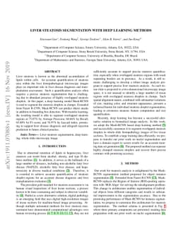 Liver Steatosis Segmentation with Deep Learning Methods