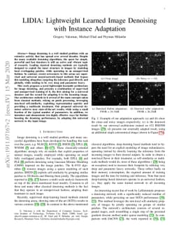 LIDIA: Lightweight Learned Image Denoising with Instance Adaptation