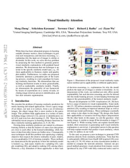 Visual Similarity Attention