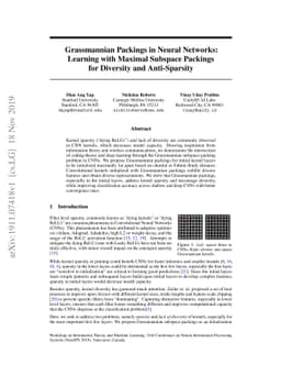 Grassmannian Packings in Neural Networks: Learning with Maximal Subspace
  Packings for Diversity and Anti-Sparsity