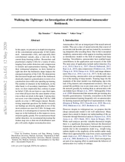 Walking the Tightrope: An Investigation of the Convolutional Autoencoder
  Bottleneck