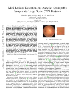 Mini Lesions Detection on Diabetic Retinopathy Images via Large Scale
  CNN Features