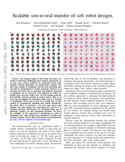 Scalable sim-to-real transfer of soft robot designs